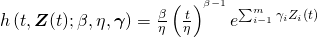 h\left ( t,\boldsymbol{Z}(t);\beta ,\eta ,\boldsymbol{\gamma}  \right )=\frac{\beta }{\eta }\left ( \frac{t}{\eta } \right )^{^{\beta -1}}e^{\sum_{i-1}^{m}\gamma _{i}Z_{i}(t)}